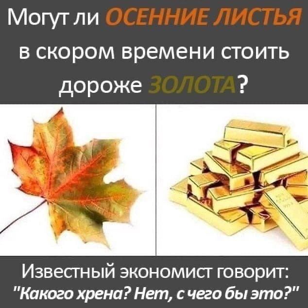 Могутли в скором времени стоить дороже Известный экономист говорит: "Какого хрена? Нет, счего бы это?"