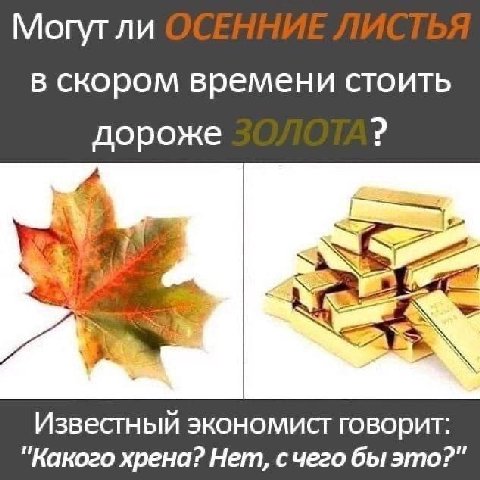 Могутли в скором времени стоить дороже Известный экономист говорит: "Какого хрена? Нет, счего бы это?"