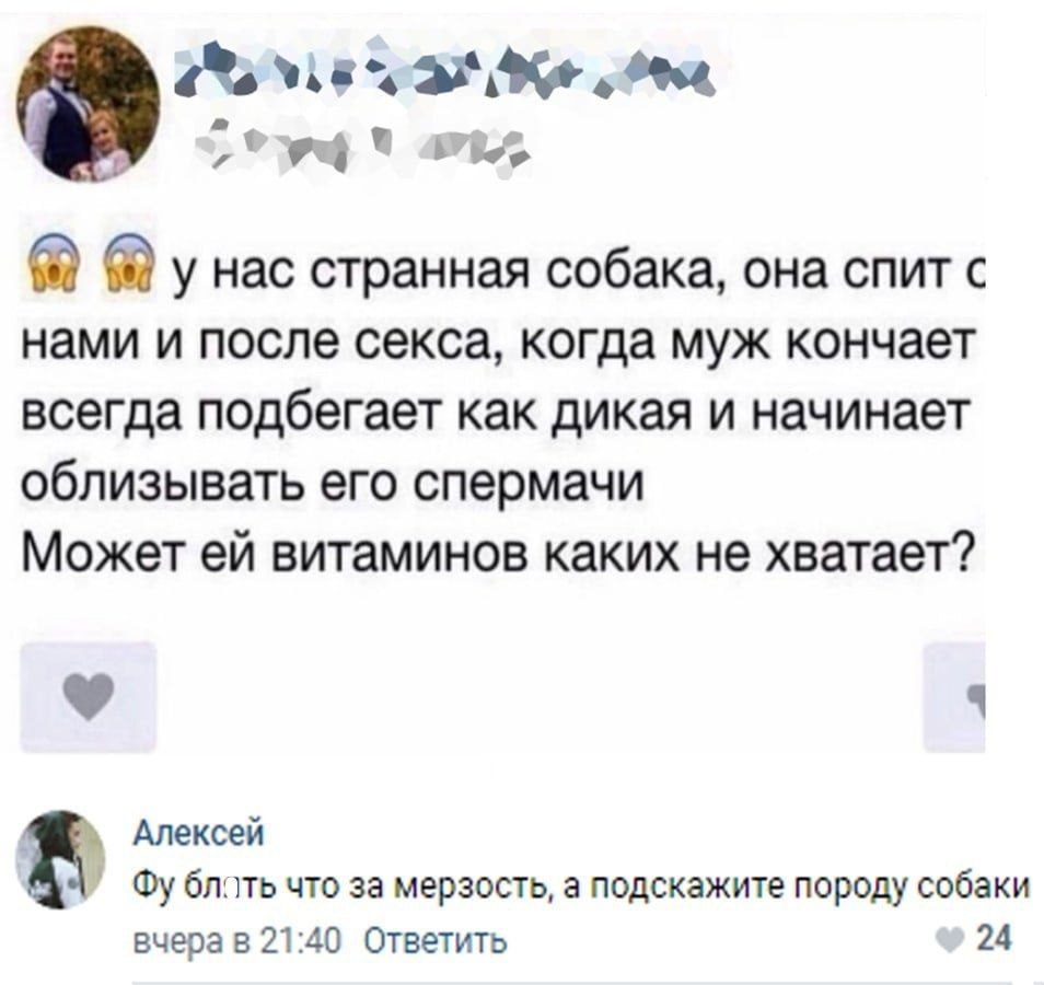 479.5 у нас странная собака, она спит с нами и после секса, когда муж кончает всегда подбегает как дикая и начинает облизывать его спермачи Может витаминов каких не хватает? 4 Алексей что за мерзость,