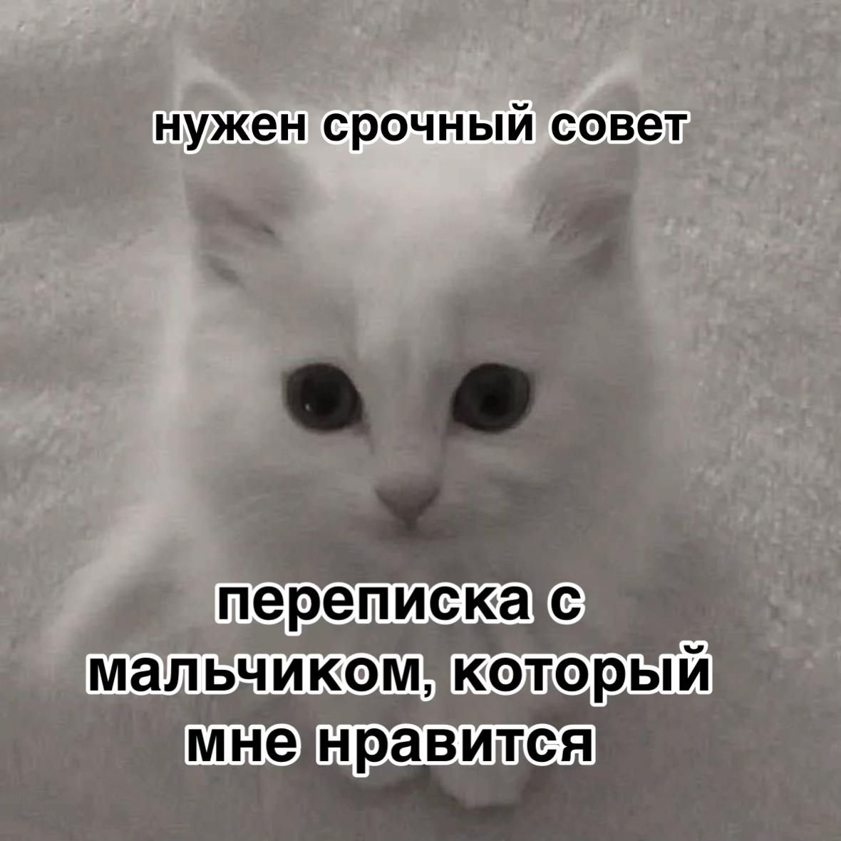 нужен совет nepenuc мненравится