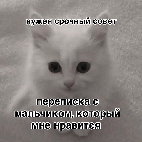 нужен совет nepenuc мненравится