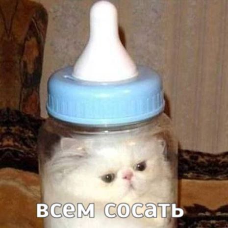 все COG