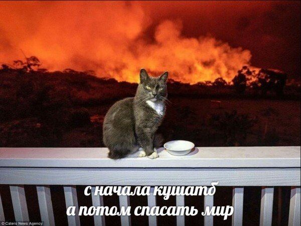 А с начала i апотом спасать мир