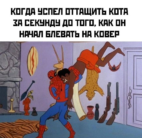 КОГДА УСПЕЛ ОТТАЩИТЬ КОТА <А СЕКУНДУ ДО ТОГО, КАК ОН НАЧАЛ БЛЕВАТЬ НА КОВЕР