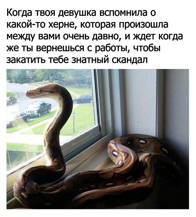Когда твоя девушка вспомнила о какой-то херне, которая произошла между вами очень давно, и ждет когда же ты вернешься с работы, чтобы закатить тебе знатный скандал я 2 A А 4