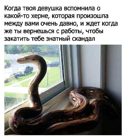 Когда твоя девушка вспомнила о какой-то херне, которая произошла между вами очень давно, и ждет когда же ты вернешься с работы, чтобы закатить тебе знатный скандал я 2 A А 4
