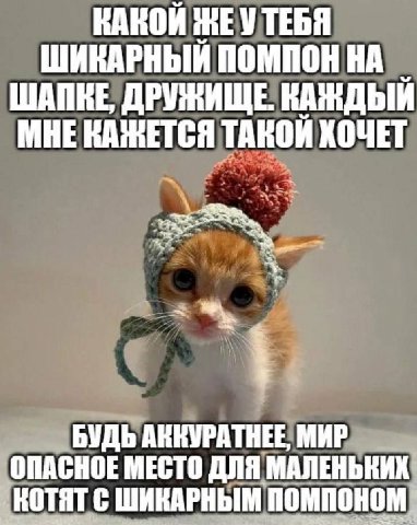 ШИКАРНЫЙ ПОМПОН НА ШАПКЕ, ДРУЖИЩЕ. КАЖДЫЙ МНЕКАЖЕТСЯ ТАКОЙ КОЧЕТ 7 БУДЬ АККУРАТНЕЕ, МИР ОПАСНОЕ МЕСТО ДЛЯ МАЛЕНЬКИХ КОТЯТ С ШИКАРНЫМ ПОМПОНОМ