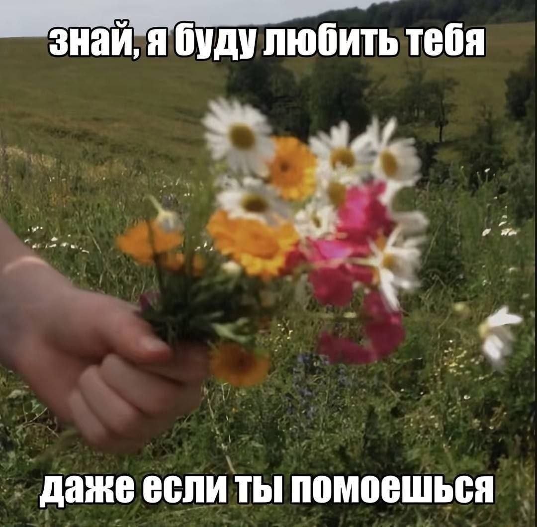 знай, я буду любить тебя даже если ты помоешься