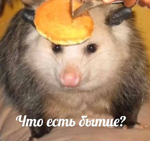 Что есть