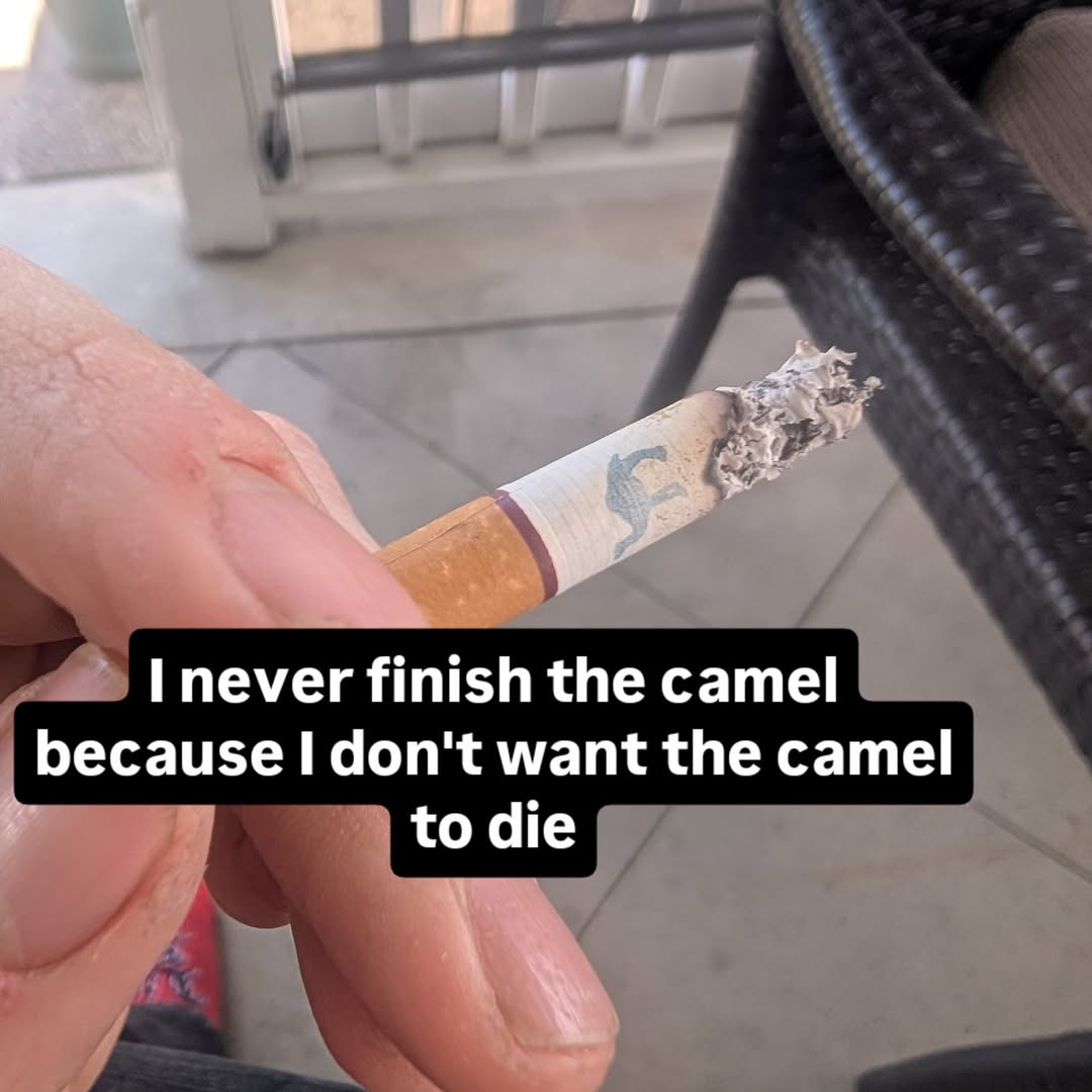 45 пеуег finish the camel because don't want the camel to die