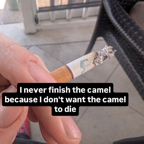45 пеуег finish the camel because don't want the camel to die