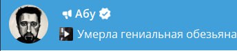 даже траурную ЧБ авку поставили.... абу рип