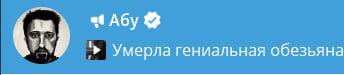 даже траурную ЧБ авку поставили.... абу рип