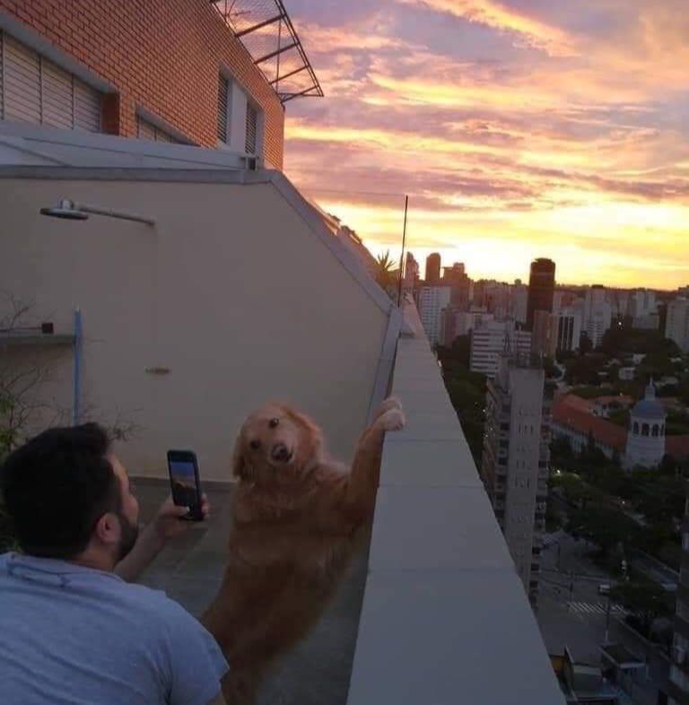 О