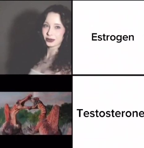 мем