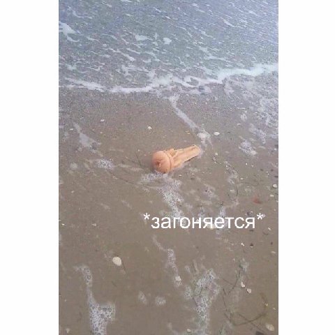 загоняется”.