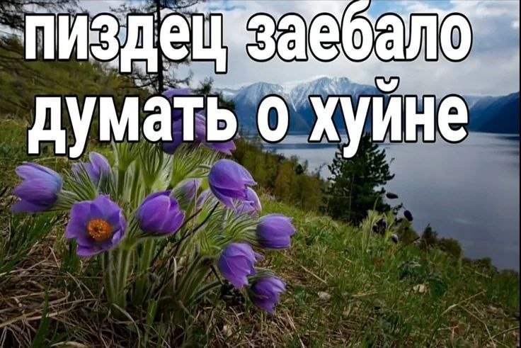 думать о хуине