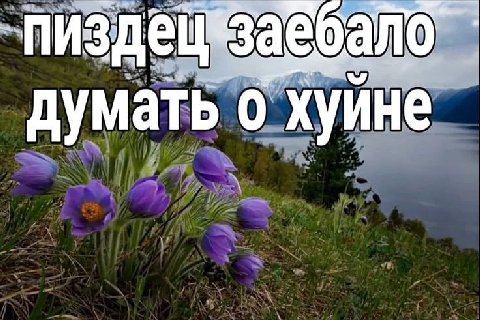 думать о хуине