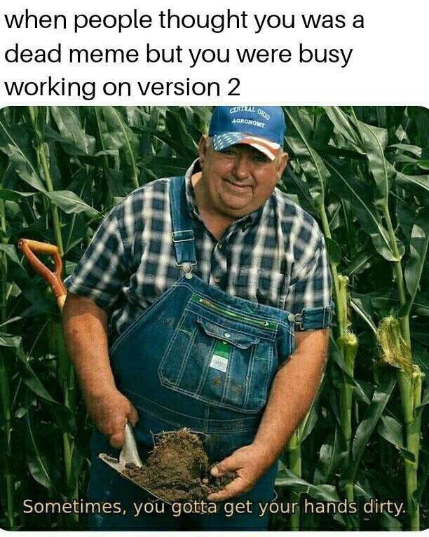 when people thought you was а dead meme but you were busy working on version 2 4 4 Sometimes, you gotta get your hands dirty,