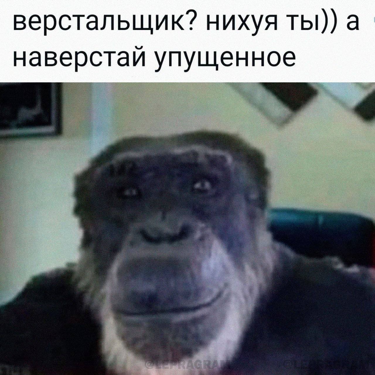 верстальщик? нихуя ты)) а наверстай упущенное