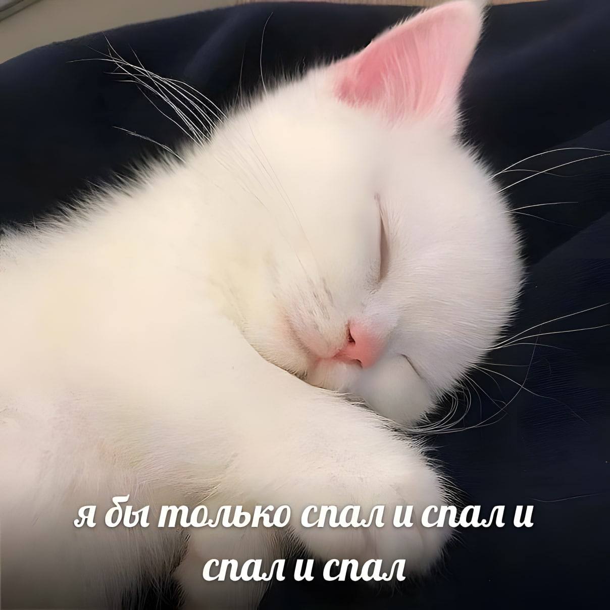 субботнее 🫰🏻