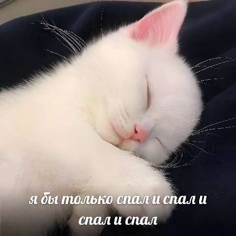 субботнее 🫰🏻