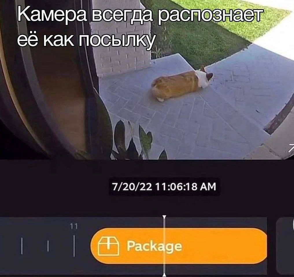 Камера всегда pacn её как посылку 7/20/22 11:06:18 Package