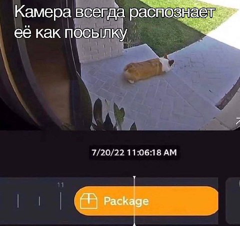 Камера всегда pacn её как посылку 7/20/22 11:06:18 Package