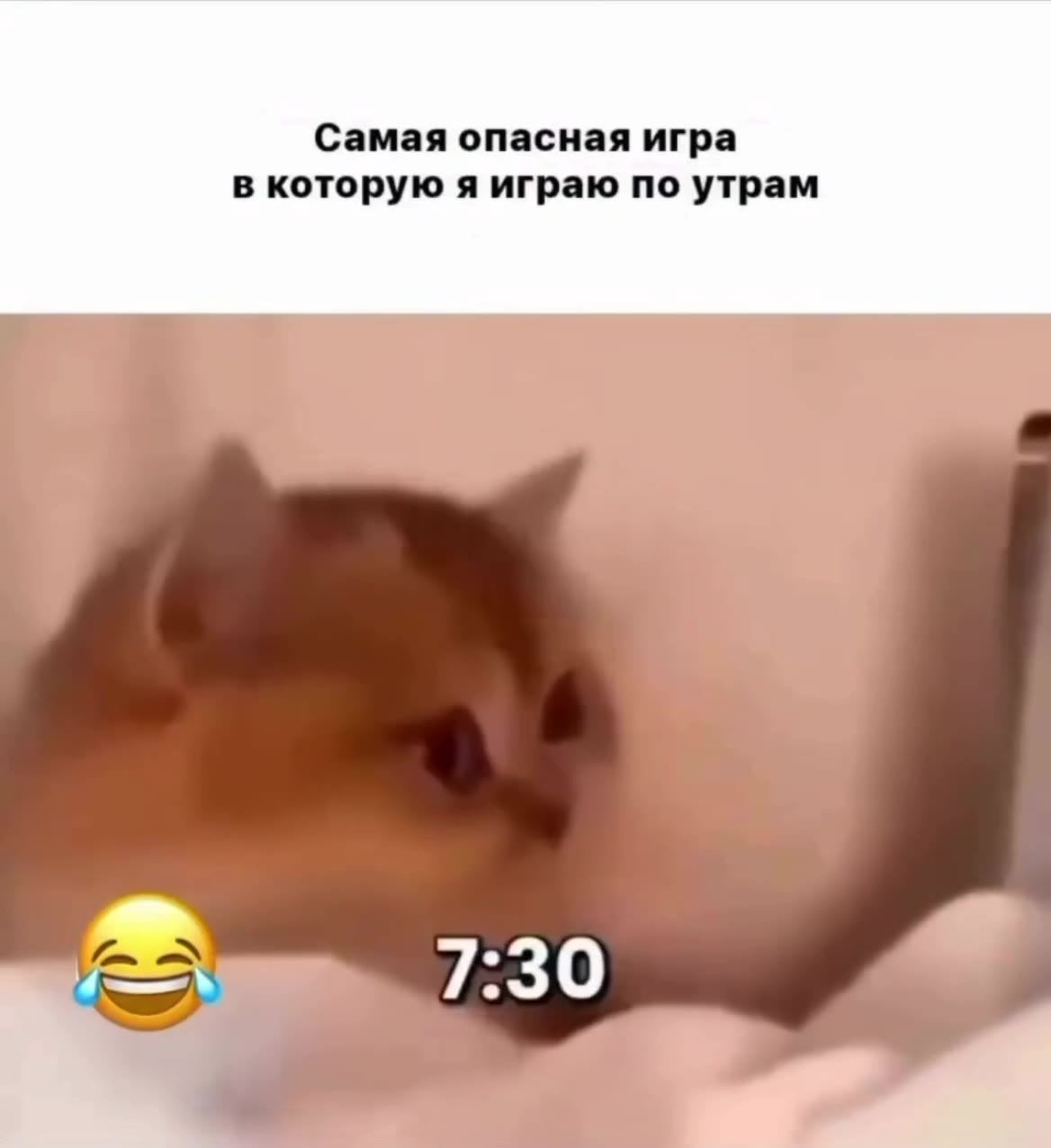 Самая опасная игра в которую я играю по утрам
