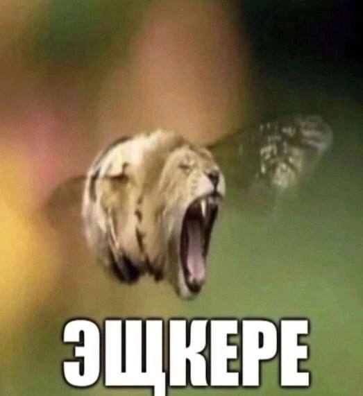 у