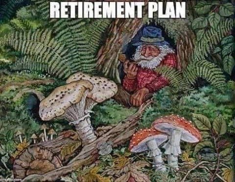 RETIREMENT PLAN