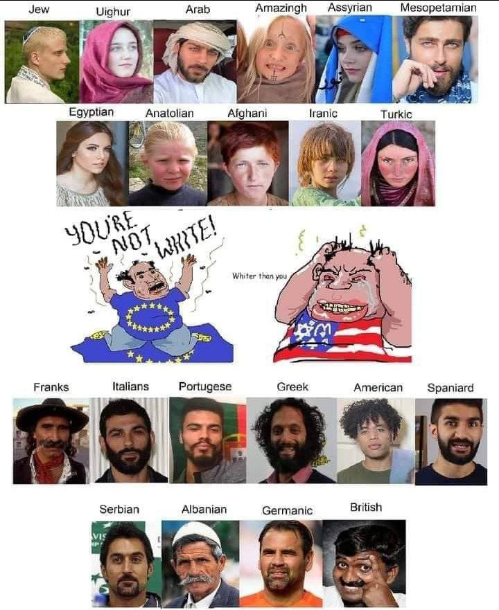 a 5 Egyptian Anatolian Afghani lranic Turkic if Whiter than you ж*& A Franks Italians Portugese Greek American Spaniard i Я Serbian Albanian Germanic British vir be 14 2 в.