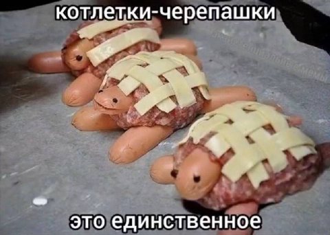 котлетки -черепашки это единственное