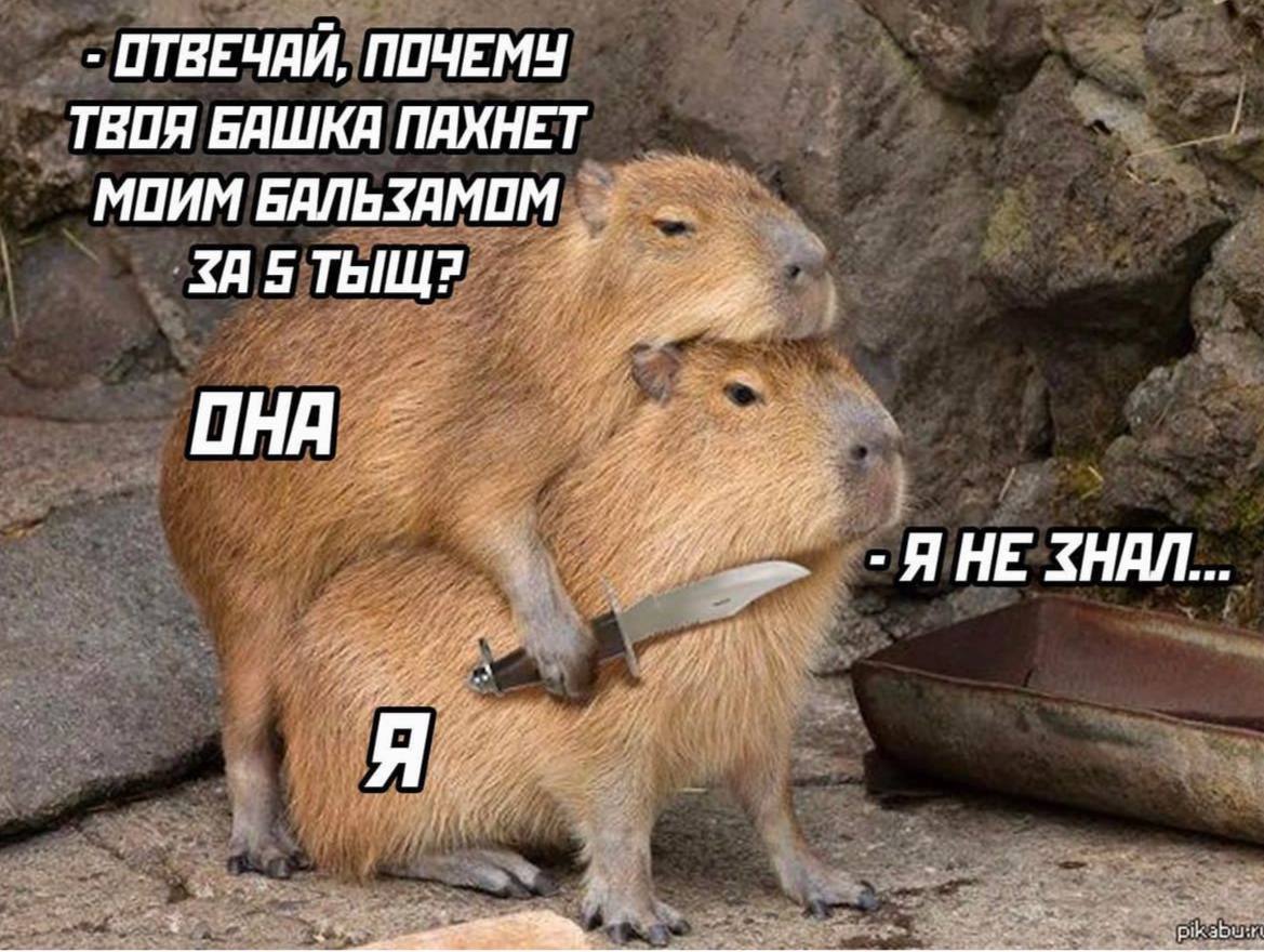 ОТВЕЧАЙ, ПОЧЕМУ ТВОЯ БЯШКЯ ПАХНЕТ МПИМ БАЛЬЗАМОМ oN “4 ТЫЩ? a? if OHA at at 2, Я НЕ ЗНАЛ... А 7% ANY pik