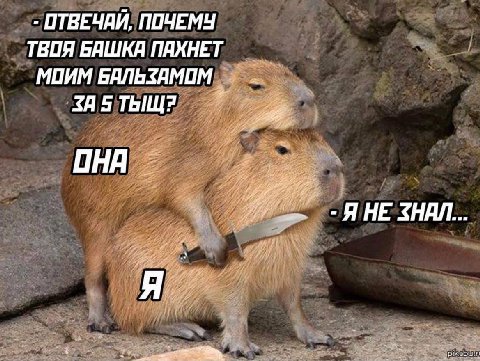 ОТВЕЧАЙ, ПОЧЕМУ ТВОЯ БЯШКЯ ПАХНЕТ МПИМ БАЛЬЗАМОМ oN “4 ТЫЩ? a? if OHA at at 2, Я НЕ ЗНАЛ... А 7% ANY pik