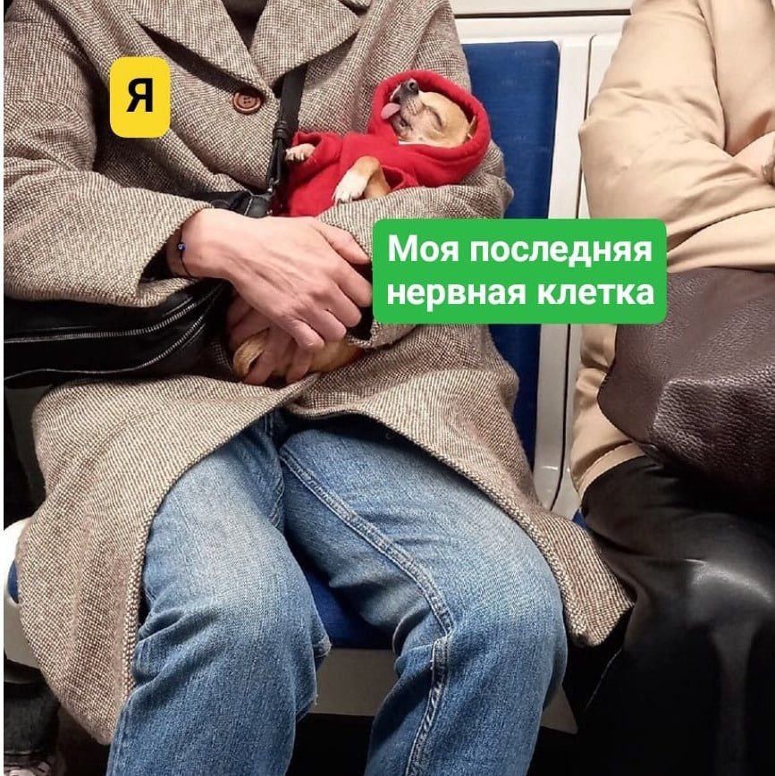 утреннее