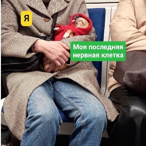 утреннее