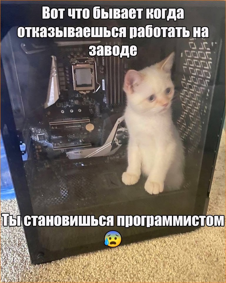 Вот что бывает когда отказываешься работать на заводе 6 4 ооо становишься программистом