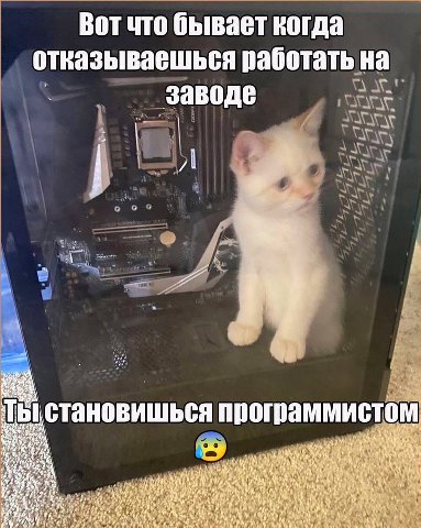 Вот что бывает когда отказываешься работать на заводе 6 4 ооо становишься программистом