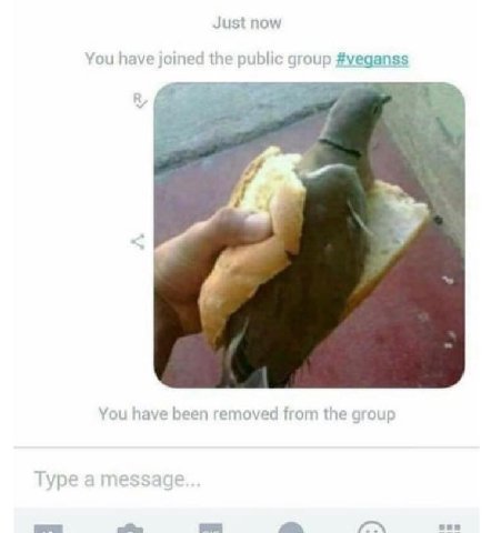 Just now You have joined the public group #veganss i You have been removed Я the art