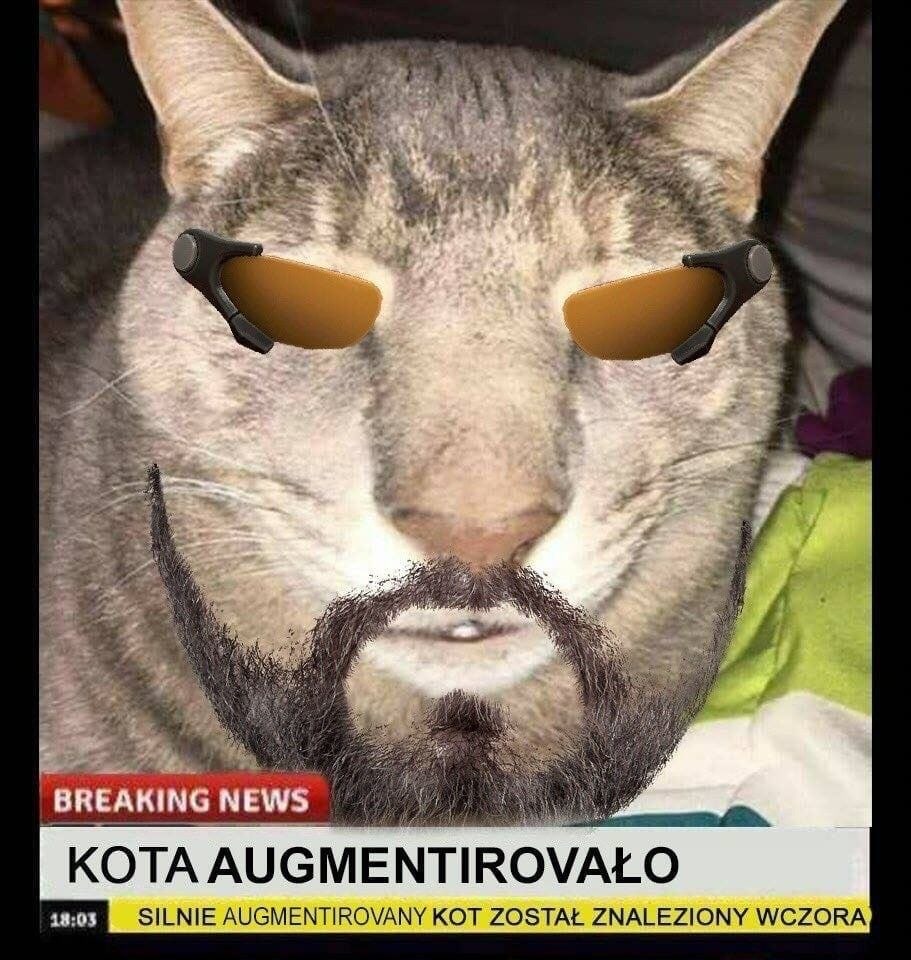 if KOTA AUGMENTIROVALO AUGMENTIROVANY KOT ZOSTAL ZNALEZIONY WCZORA
