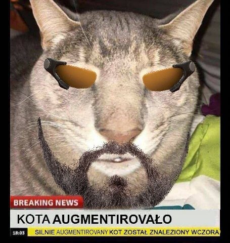 if KOTA AUGMENTIROVALO AUGMENTIROVANY KOT ZOSTAL ZNALEZIONY WCZORA