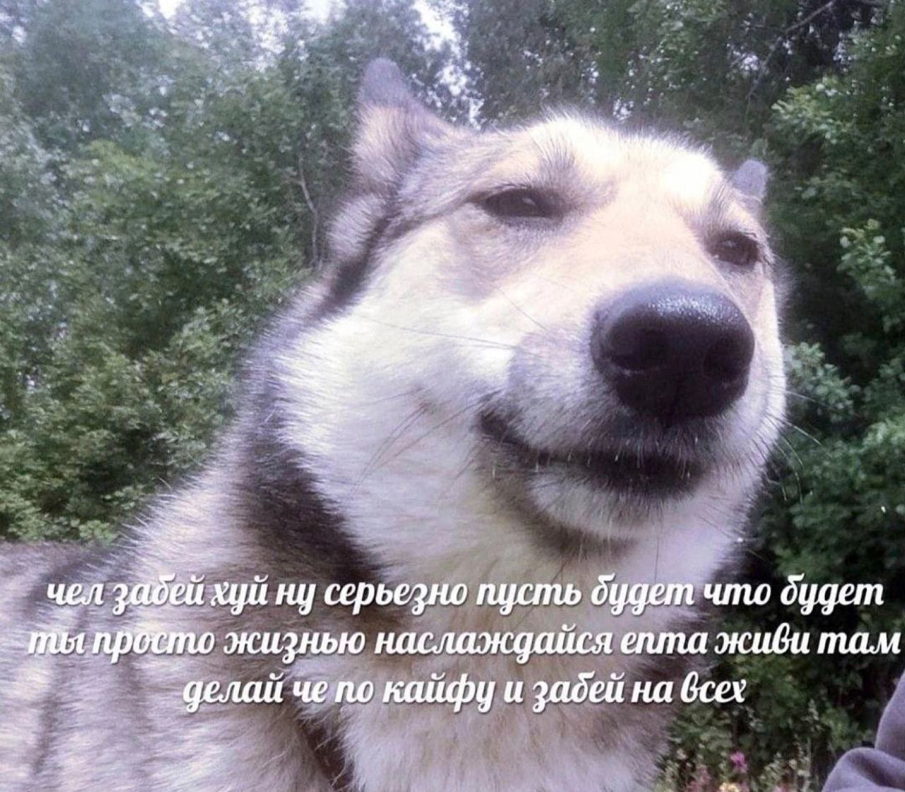 у a чел куй ну серьезно пусть будет что будет жизнью наслаждайся епта там 32 кайфу и забей на всех 7