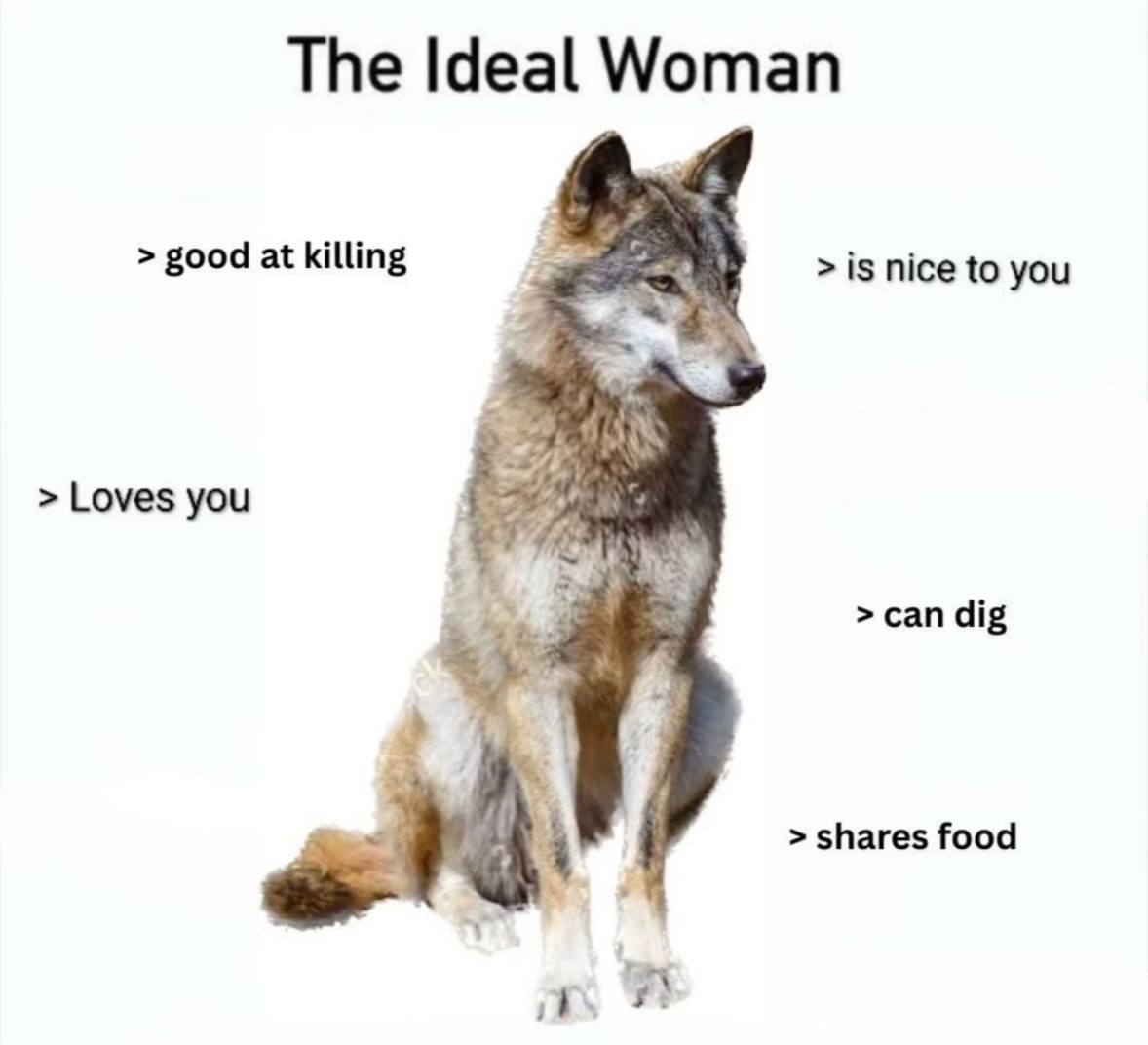 The Ideal Woman good at killing 15 nice to you Loves you сап dig shares food