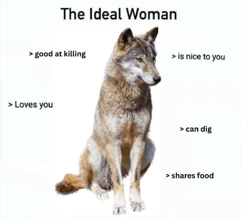 The Ideal Woman good at killing 15 nice to you Loves you сап dig shares food