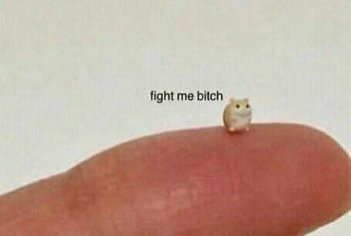 fight me bitch