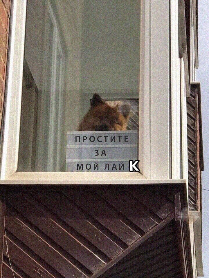 Я В be В К и test i