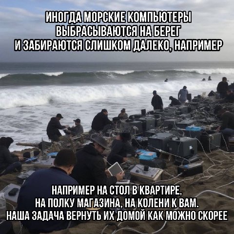ИНОГДА МОРСКИЕ. ВЫБРАСЫВАЮТСЯ НА БЕРЕГ И ЗАБИРАЮТСЯ СЛИШКОМ ДАЛЕКО, НАПРИМЕР НАПРИМЕР СТОЛ В КВАРТИРЕ НА ПОЛКУ МАГАЗИНА, НА КОЛЕНИ К ВАМ НАША ЗАДАЧА ВЕРНУТЬ ДОМОИ КАК МОЖНО СКОРЕЕ