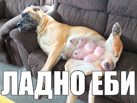 a 1; 4 a 7 я,