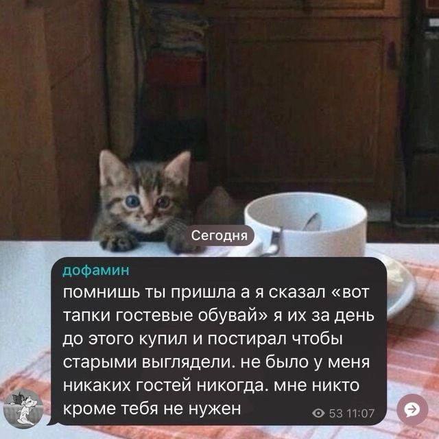 егодня дофамин помнишь ты пришлаая сказал «вот тапки гостевые обувай» я за день до этого купил и постирал чтобы старыми выглядели. не было у меня никаких гостей никогда. мне никто кроме тебя не нужен 
